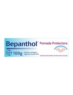 BEPANTHOL POMADA PROTECT 100 GR